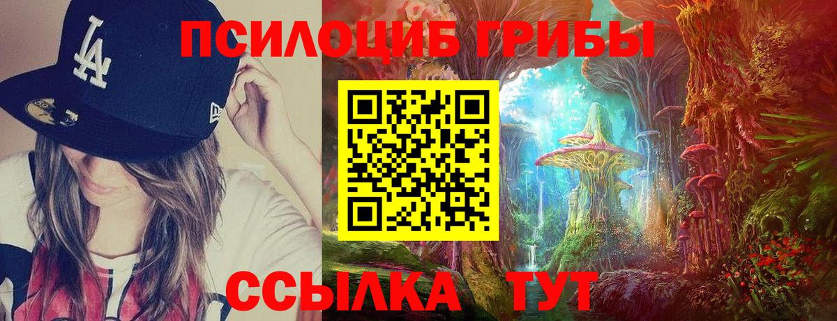 Псилоцибиновые грибы GOLDEN TEACHER  Вход с VPN  Галлюциногенные грибы мухоморы  Красногорск 