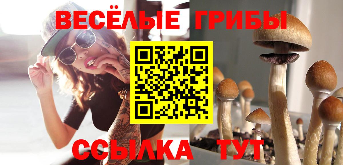 Псилоцибиновые грибы прущие грибы Красногорск