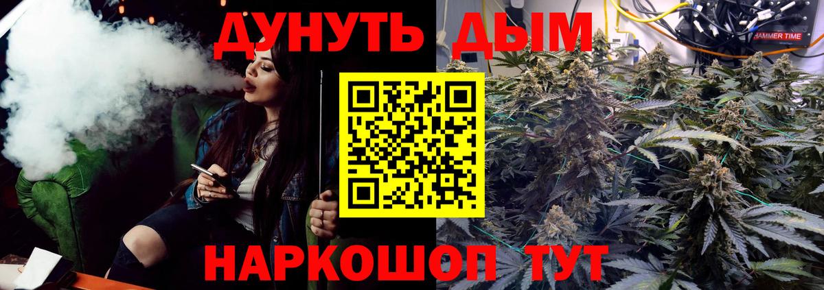 Конопля сатива  Бошки Шишки ГИДРОПОН  Вход с VPN  Красногорск  Каннабис конопля 